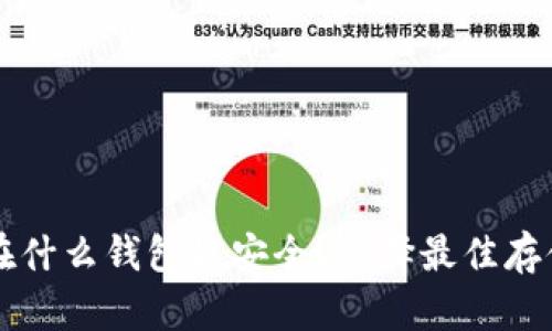 比特币存放在什么钱包最安全？选择最佳存储方法的指南