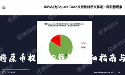 如何将屎币提到TP钱包：详细指南与步骤