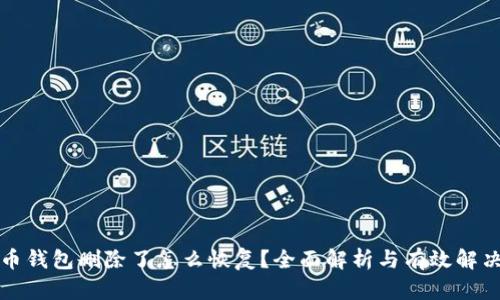 比特币钱包删除了怎么恢复？全面解析与有效解决方案