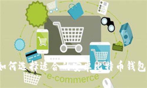 如何选择适合的安卓比特币钱包？