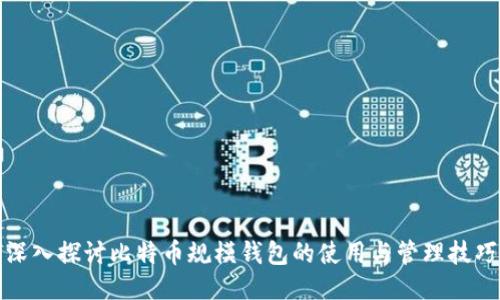 深入探讨比特币规模钱包的使用与管理技巧