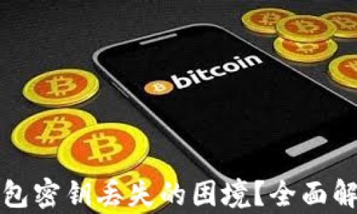 
如何处理TP钱包密钥丢失的困境？全面解析及解决方案