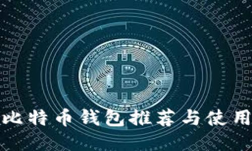 最佳比特币钱包推荐与使用指南