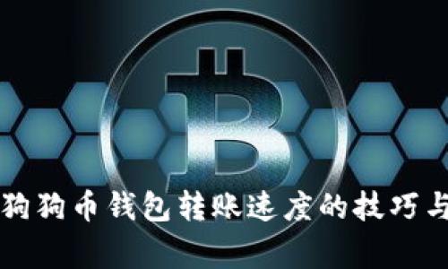 快速提升狗狗币钱包转账速度的技巧与注意事项