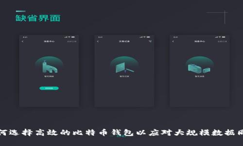 如何选择高效的比特币钱包以应对大规模数据同步
