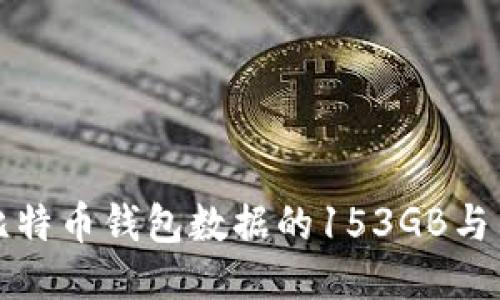 深入探讨比特币钱包数据的153GB与交易安全性