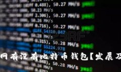 百度主题龙网有没有比特币钱包？发展及安全性