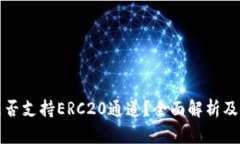 TP钱包是否支持ERC20通道？全面解析及使用指南