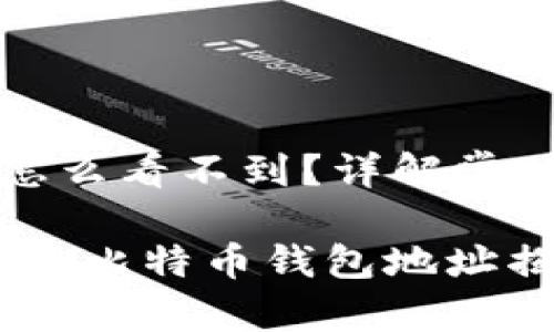 比特币钱包地址怎么看不到？详解常见问题与解决方法

如影随形：看不见的比特币钱包地址揭秘