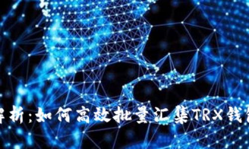 全面解析：如何高效批量汇集TRX钱包资金