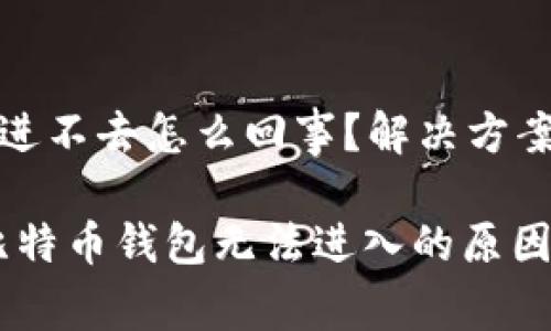 比特币钱包进不去怎么回事？解决方案与注意事项

全面解析：比特币钱包无法进入的原因及解决方法