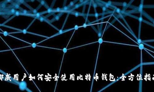 挪威用户如何安全使用比特币钱包：全方位指南