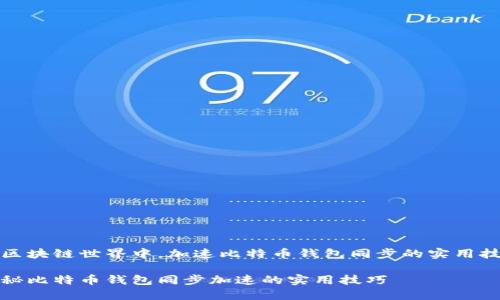 在区块链世界中，加速比特币钱包同步的实用技巧

揭秘比特币钱包同步加速的实用技巧