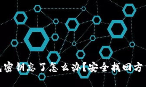 TP钱包密钥忘了怎么办？安全找回方法揭秘