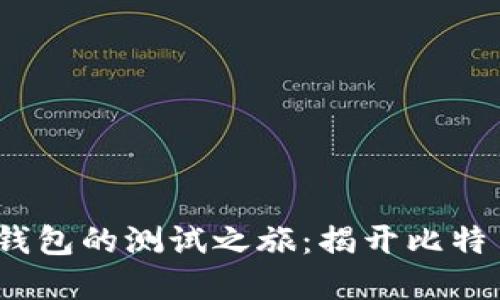 探秘中本聪及其T钱包的测试之旅：揭开比特币背后的神秘面纱