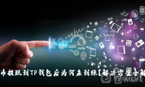 火币提现到TP钱包后为何未到账？解决方案全解析