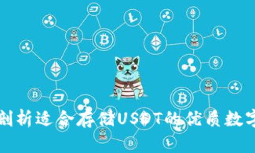 全面剖析适合存储USDT的优质数字钱包
