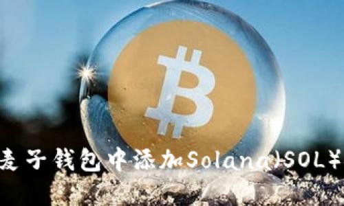 如何轻松在麦子钱包中添加Solana（SOL）链：详尽指南