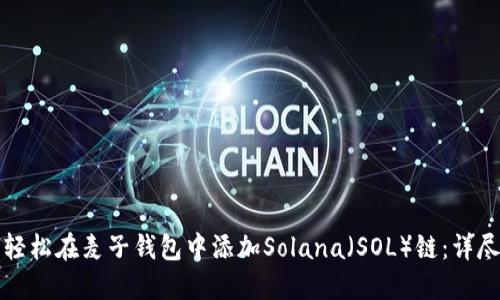 如何轻松在麦子钱包中添加Solana（SOL）链：详尽指南