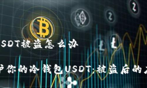 冷钱包USDT被盗怎么办

如何保护你的冷钱包USDT：被盗后的应对措施