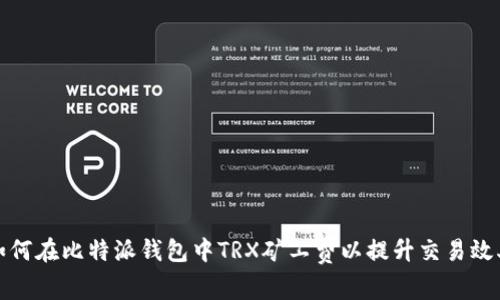 如何在比特派钱包中TRX矿工费以提升交易效率