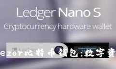 安全稳健的Trezor比特币钱包：数字资产的最佳选