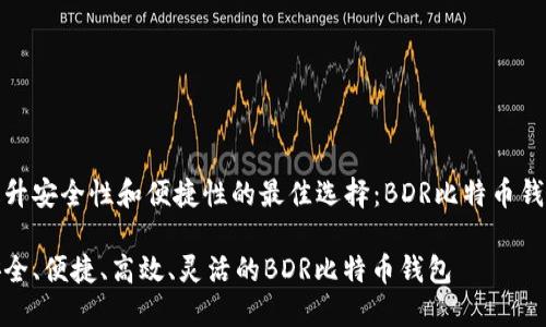 提升安全性和便捷性的最佳选择：BDR比特币钱包

安全、便捷、高效、灵活的BDR比特币钱包
