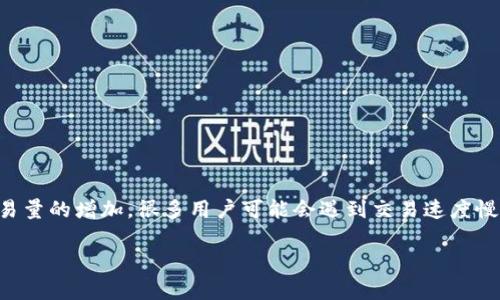 在现代数字化的生活中，TP钱包成为了很多用户进行加密货币交易的重要工具。然而，随着区块链网络的拥堵和交易量的增加，很多用户可能会遇到交易速度慢的问题，此时，使用加速器就变得非常有必要了。那么，TP钱包该选择哪个加速器呢？本文将为你详细解析这个问题。

TP钱包加速器推荐：提升交易速度的最佳选择