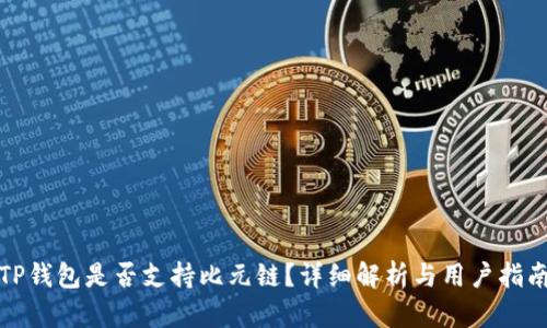 TP钱包是否支持比元链？详细解析与用户指南