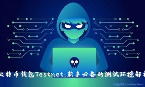 比特币钱包Testnet：新手必备的测试环境解析