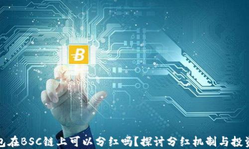 
TP钱包在BSC链上可以分红吗？探讨分红机制与投资策略