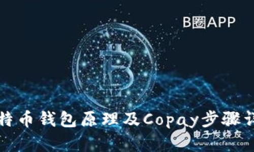 比特币钱包原理及Copay步骤详解