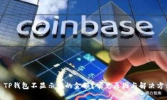 : TP钱包不显示币的金额？常见原因与解决方法