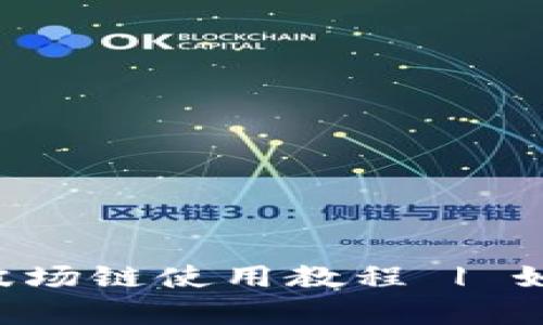 全面解析T P钱包之波场链使用教程 | 如何高效管理数字资产