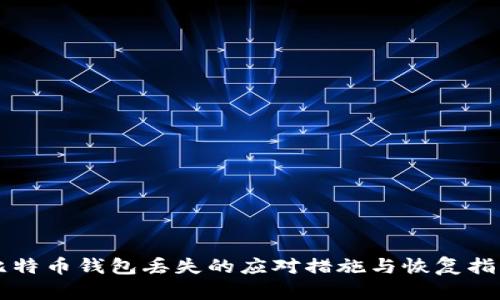 比特币钱包丢失的应对措施与恢复指南