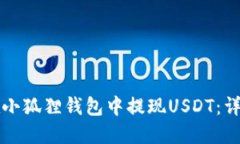 如何在小狐狸钱包中提现USDT：详细指南