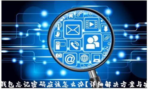 
安卓TP钱包忘记密码应该怎么办？详细解决方案与安全提示