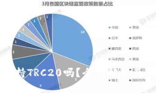 优质  
TP钱包支持TRC20吗？全面解析及使用指南