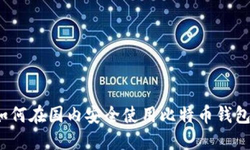 如何在国内安全使用比特币钱包？
