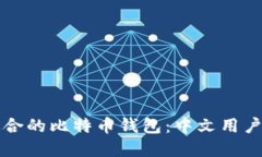 如何选择适合的比特币钱包：中文用户的全面指