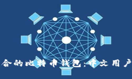 如何选择适合的比特币钱包：中文用户的全面指南