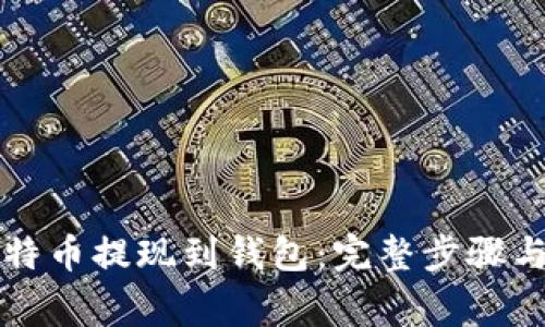 怎样将比特币提现到钱包：完整步骤与注意事项