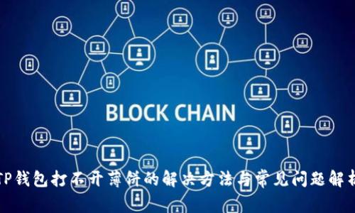 TP钱包打不开薄饼的解决方法与常见问题解析