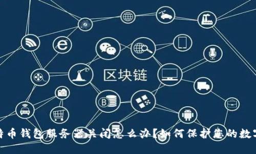 : 比特币钱包服务器关闭怎么办？如何保护您的数字资产