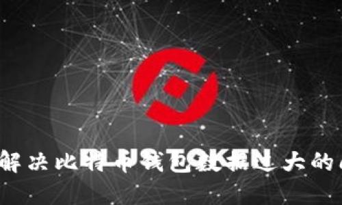 如何解决比特币钱包数据过大的问题？