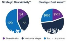 的优质 TP钱包：如何查询大户币种与投资状况