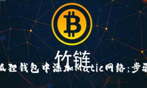 如何在狐狸钱包中添加Matic网络：步骤与技巧