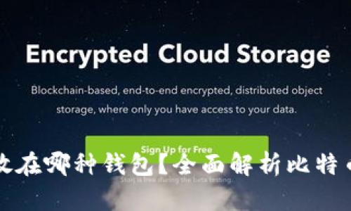 比特币应该放在哪种钱包？全面解析比特币钱包的选择