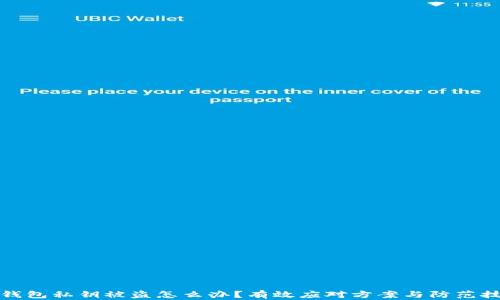 
TP钱包私钥被盗怎么办？有效应对方案与防范技巧