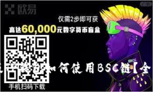 电脑版TP钱包如何使用BSC链？全面指南